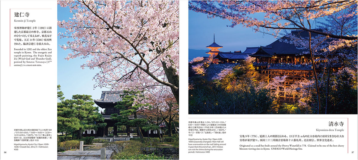 京都桜旅