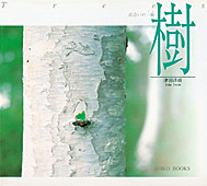 樹