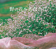 野の花をあなたに