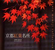 京都紅葉名所