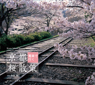 京都 電車で行く 桜散策